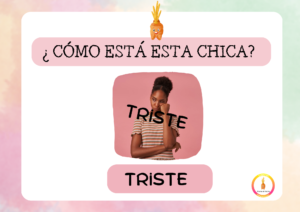 EMOCIONARIO: GUIA PARA EL ADULTO - Imagen 6